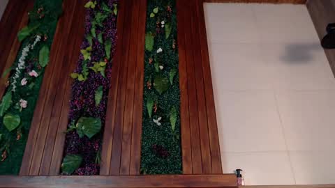 Snapshot of ian_davis chatting on March 2025 07:54:02 PM Ian Davis online show from March 2025 07:54:02 PM