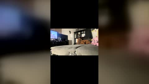 ibigboy666 online show from April 2026 12:57:01 AM