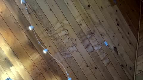 Snapshot of icanmakeyousquirt69 chatting on March 2026 09:18:02 PM icanmakeyousquirt69 online show from March 2026 09:18:02 PM