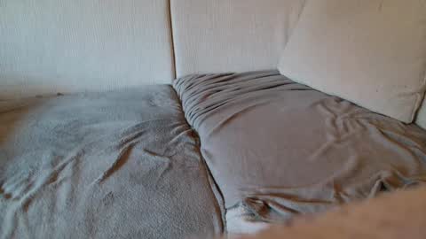 Snapshot of ich_hh chatting on January 2025 09:30:02 AM SnowTiger online show from January 2025 09:30:02 AM