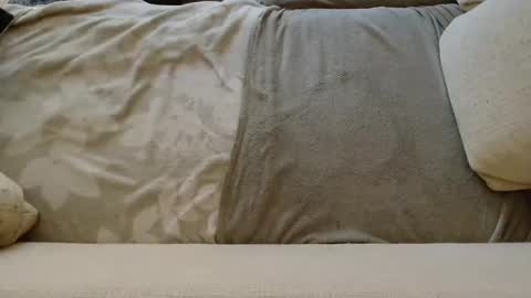 Snapshot of ich_hh chatting on January 2025 11:04:02 AM SnowTiger online show from January 2025 11:04:02 AM