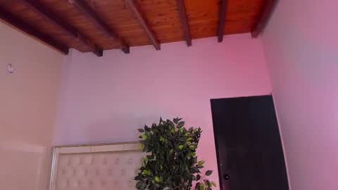 im_sebaslopez online show from February 2026 08:10:02 PM