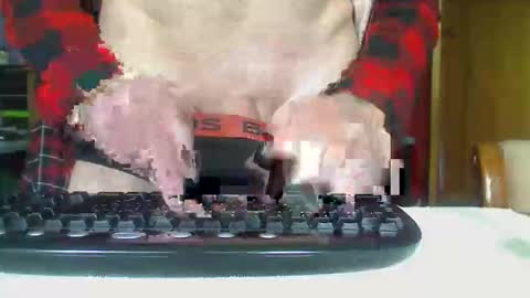 Aussie Guy online show from October 2025 12:33:02 AM