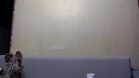 irina online show from January 2026 03:27:02 PM