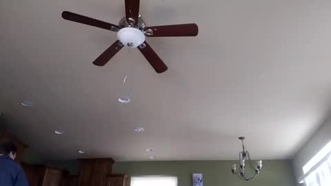 Snapshot of iminyourroom chatting on January 2025 08:22:02 PM Iminyourroom online show from January 2025 08:22:02 PM