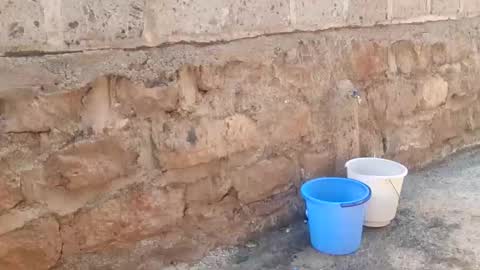 immissv online show from December 2025 11:15:01 AM