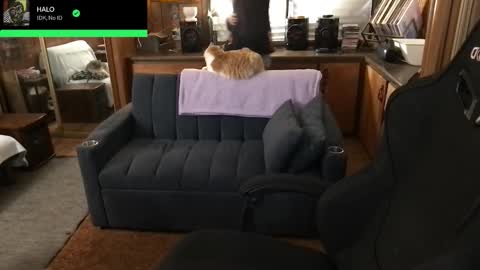 Carter online show from February 2026 04:39:02 AM