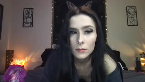 Indigo Bay online show from January 2025 02:54:01 AM