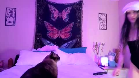 Indigo Bay online show from February 2026 05:05:01 AM