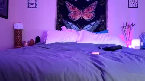 Indigo Bay online show from February 2026 02:30:02 AM