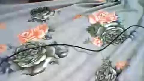inejhtin online show from June 2026 04:00:02 AM