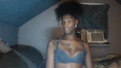 kendaLin online show from June 2026 08:42:01 AM