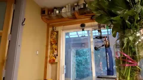 sir. Grummps online show from February 2026 12:18:01 AM