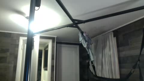 Snapshot of inmybackyard chatting on January 2025 10:06:01 PM InMyBackyard online show from January 2025 10:06:01 PM