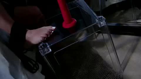 Snapshot of insatiablecpl333 chatting on January 2025 09:11:02 PM InsatiableCpl333 online show from January 2025 09:11:02 PM