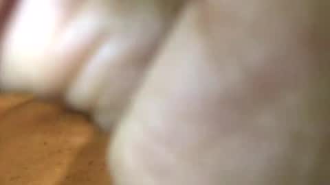 InternationalGodFather online show from January 2025 03:18:01 PM