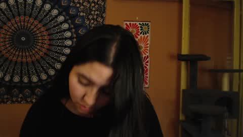 Africa online show from December 2024 02:31:01 AM