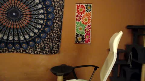 Africa online show from January 2025 08:10:02 PM