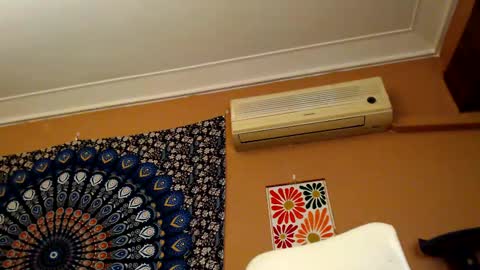 Africa online show from February 2025 06:04:02 PM