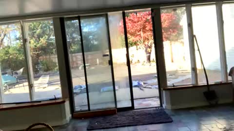 IntoTheWoodsWeGo online show from November 2025 08:30:02 PM