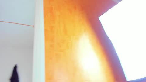 Snapshot of irina_and_max chatting on June 2026 08:03:01 PM irina_and_max online show from June 2026 08:03:01 PM