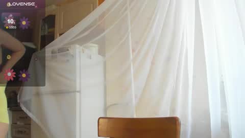 Iris online show from November 2025 08:04:02 AM