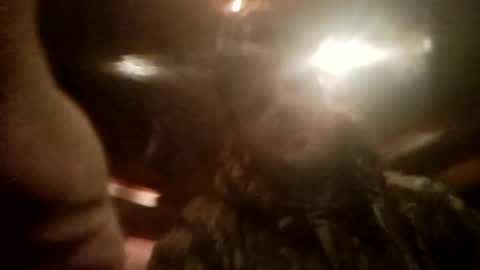 Flesh and blood online show from September 2025 08:04:02 AM