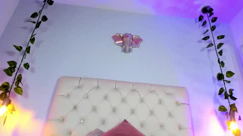   online show from November 2025 08:29:02 PM