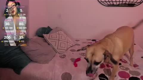 Isa online show from January 2025 06:09:01 AM