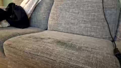 itsjeroen online show from November 2025 01:52:01 AM