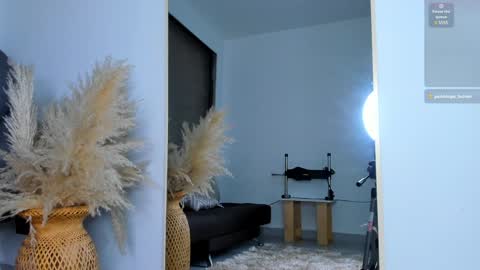 Snapshot of ivy_li chatting on January 2025 03:11:02 AM Daniela online show from January 2025 03:11:02 AM