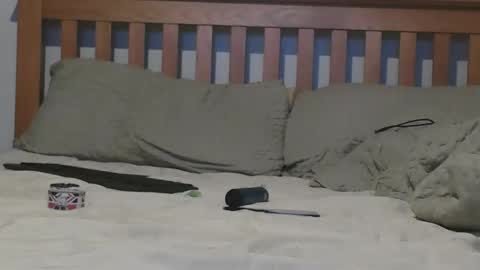 Big 8 online show from November 2025 02:16:02 PM