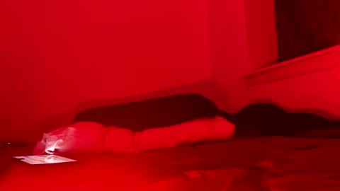 j4ckoff online show from November 2025 05:50:02 AM