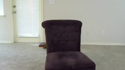 Snapshot of jack_medikoff chatting on July 2026 12:15:02 AM Jack Medikoff online show from July 2026 12:15:02 AM