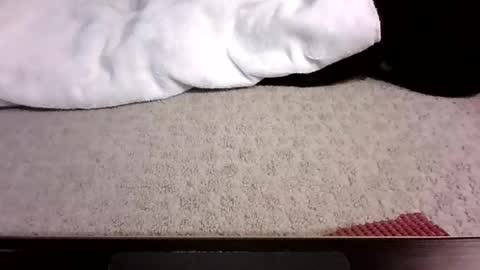 jack_wonder912 online show from September 2025 04:12:02 AM