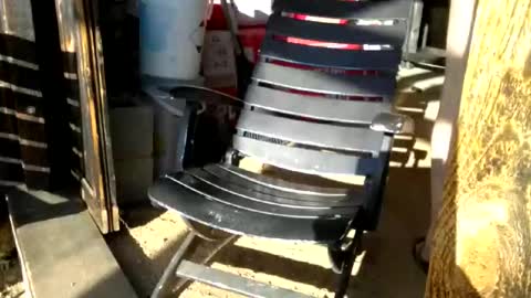 jackeduplittlejoey online show from April 2026 02:54:02 PM