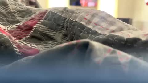 Snapshot of jackinjames92 chatting on January 2025 05:42:01 PM jackinjames92 online show from January 2025 05:42:01 PM