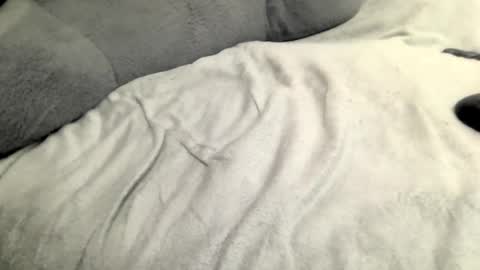 jack online show from February 2025 05:45:01 AM