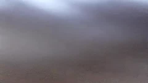 Snapshot of jacksonroy_ chatting on July 2026 11:53:02 PM jacksonroy online show from July 2026 11:53:02 PM