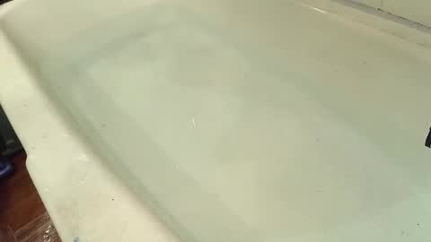 Bootyshows online show from October 2025 07:59:01 PM