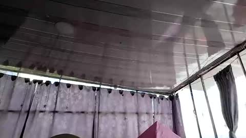 janariivera1 online show from October 2025 04:29:02 PM