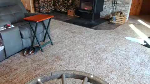 janeen- online show from February 2025 04:47:02 PM