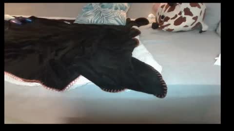 jasminandzhao online show from July 2026 07:23:02 AM