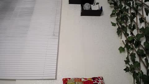 JKing  online show from January 2025 02:49:02 AM