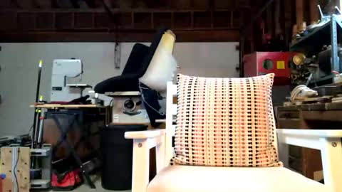 Snapshot of jawssharkparty chatting on October 2025 03:57:02 PM Jaws online show from October 2025 03:57:02 PM