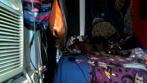 jaxxx666 online show from February 2025 04:46:02 AM