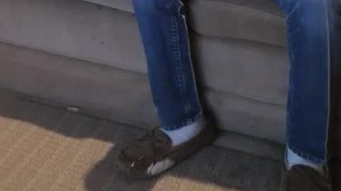 O F   jay short786 online show from February 2025 08:20:02 PM