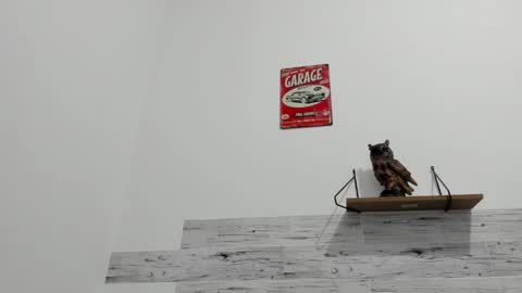 Jaycreedd online show from September 2025 12:38:01 AM