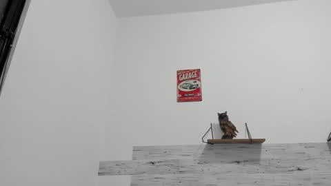 Jaycreedd online show from October 2025 12:07:02 AM