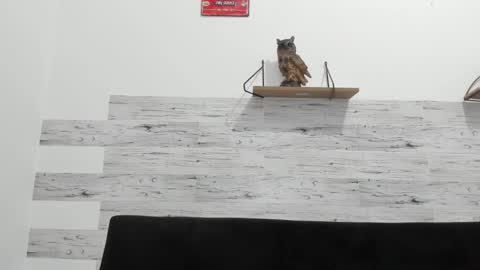 Jaycreedd online show from November 2025 11:48:01 PM